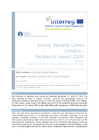 Living Danube Limes Croatia  -  fieldwork report 2021; Archaeological geophysical prospection in the framework of the EU Interreg DTP359 Living Danube Limes. Kopačevo pilot site